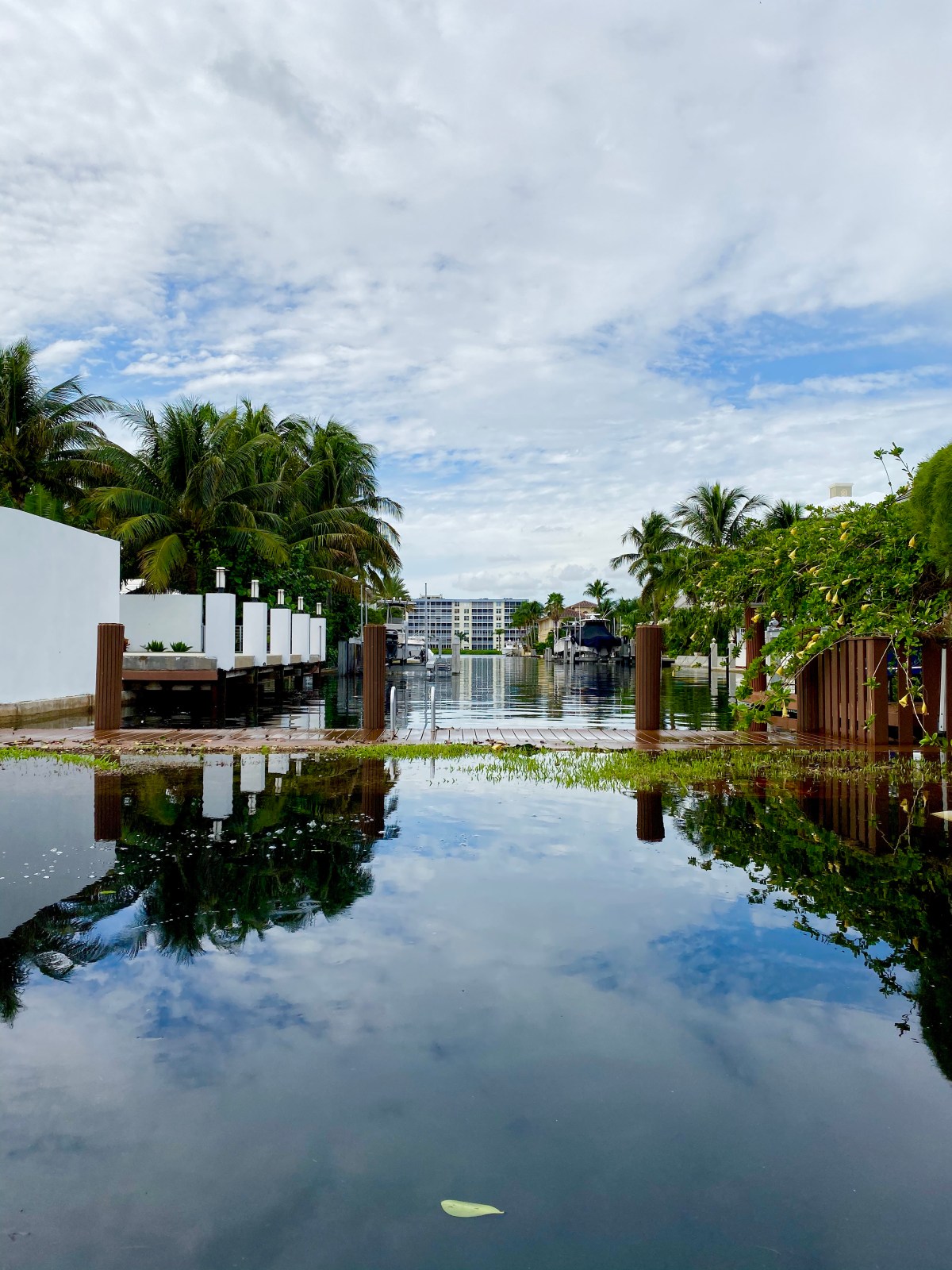 Annapolis, Maryland, Committee Delivers Plan to Address Sea Level Rise&nbsp;Flooding