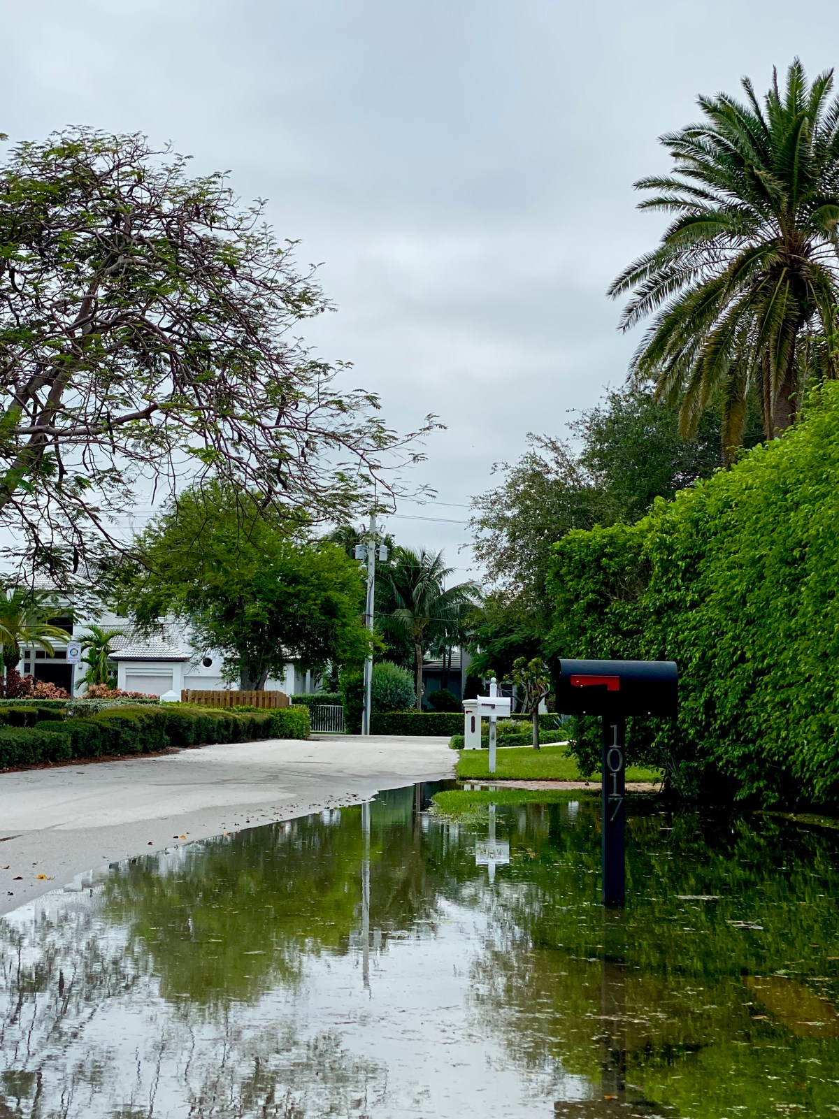 Scientists Identify the Greatest Obstacle to Educating Real Estate Owners about the Threat of Sea Level Rise&nbsp;Flooding