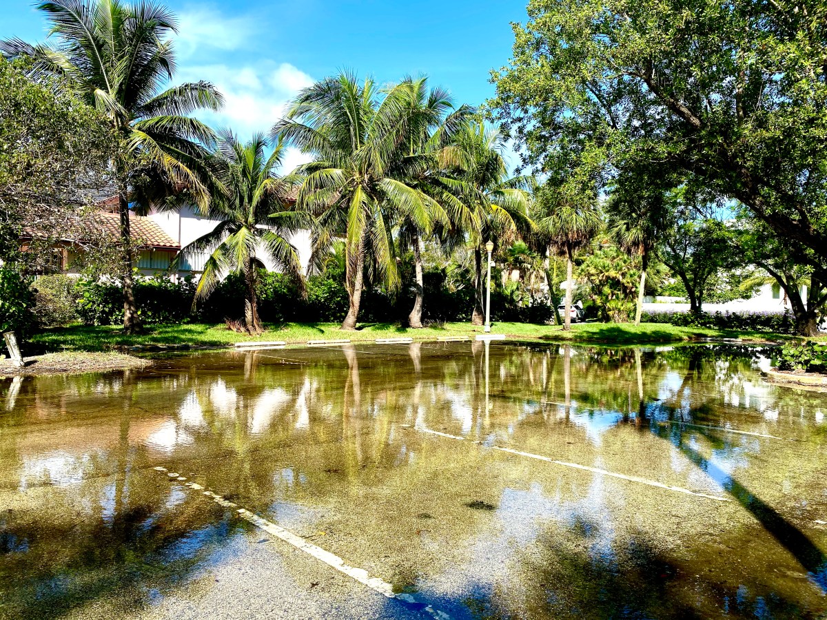 Record Temperatures in Antarctica May Signal More Rapid Sea Level&nbsp;Rise