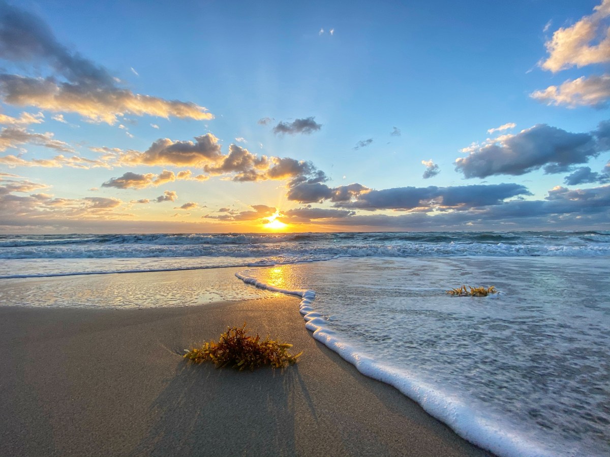 The State of Septic Systems Has to be Considered when Purchasing Coastal Real Estate Under Pressure from Sea Level&nbsp;Rise