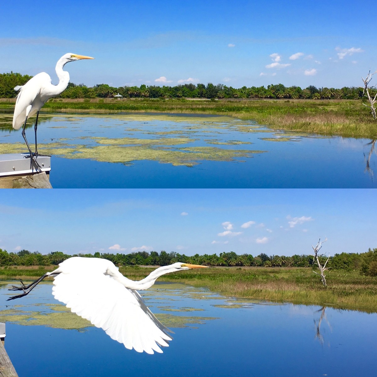 Buyers Need to Consider Fresh Water Sources When Purchasing Real Estate in Communities at Risk from Sea Level&nbsp;Rise