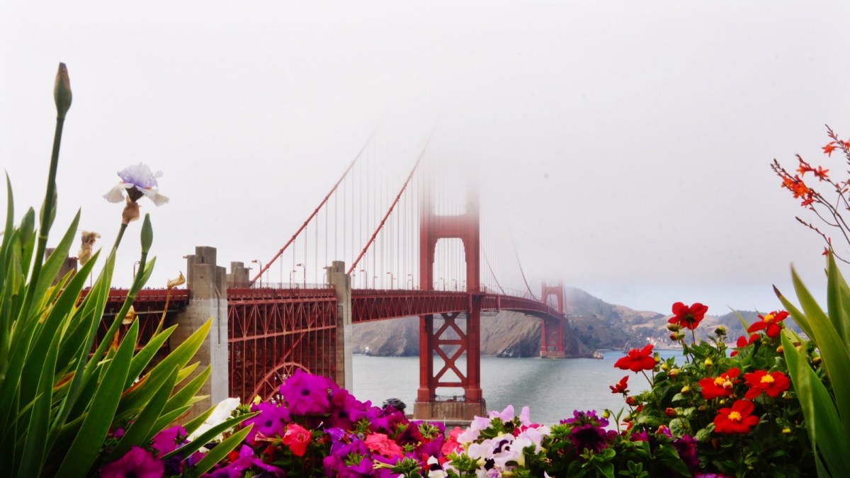 San Francisco Bay Officials Release a Report that Outlines the Cost of Inaction on Sea Level&nbsp;Rise