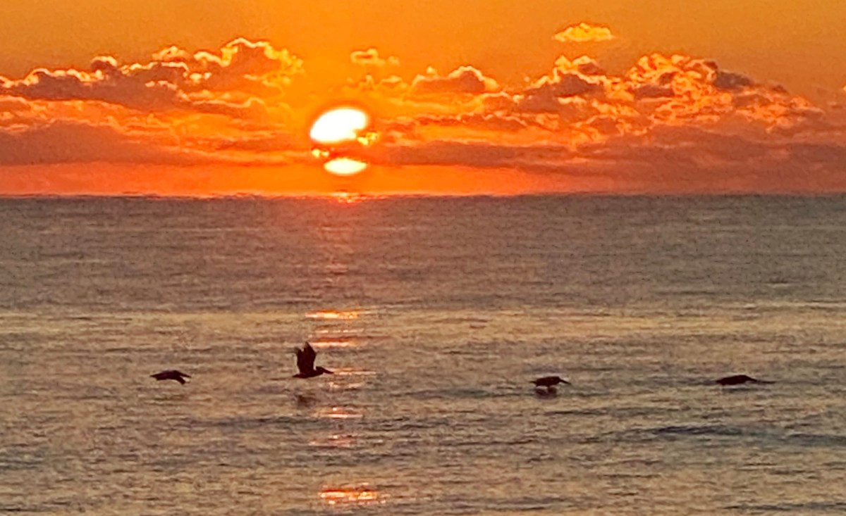 More Powerful Storm Surges and Sea Level Rise Flooding Force Charleston, SC, to Ponder Its&nbsp;Future