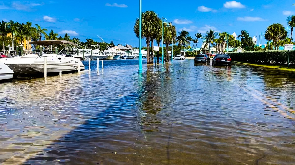 Florida’s State Government Does a 180 on Sea Level Rise&nbsp;Flooding