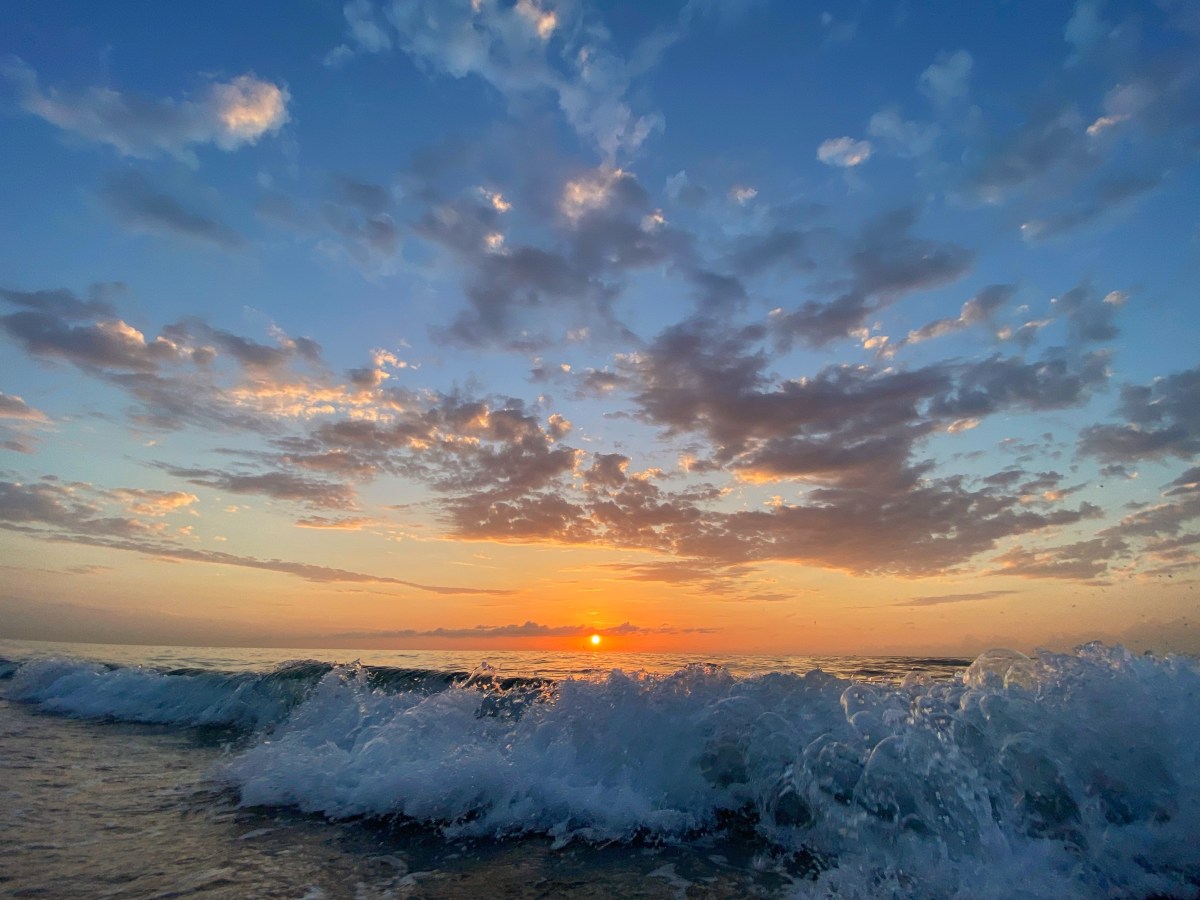 Sea Level Rise-driven Saltwater Intrusion Could Impact Coastal Real Estate&nbsp;Values